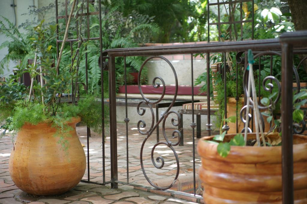 Jacquet Corail Suites מראה חיצוני תמונה