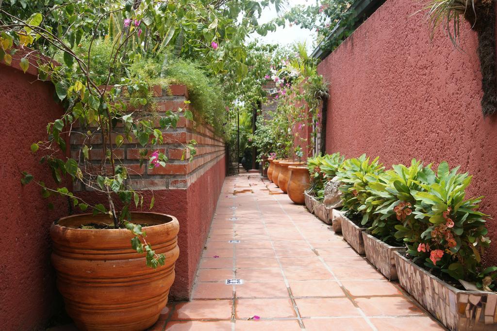 Jacquet Corail Suites חדר תמונה